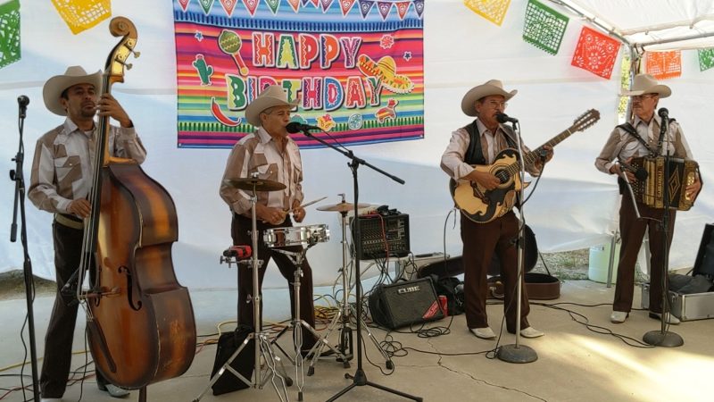 Serenata de cortesía: música que sana y alegra – Chirrines con Tololoche